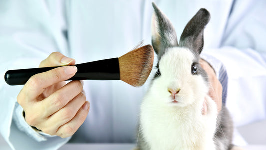 Start using animal cruelty-free products