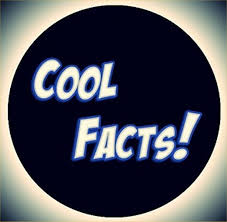 Cool Facts