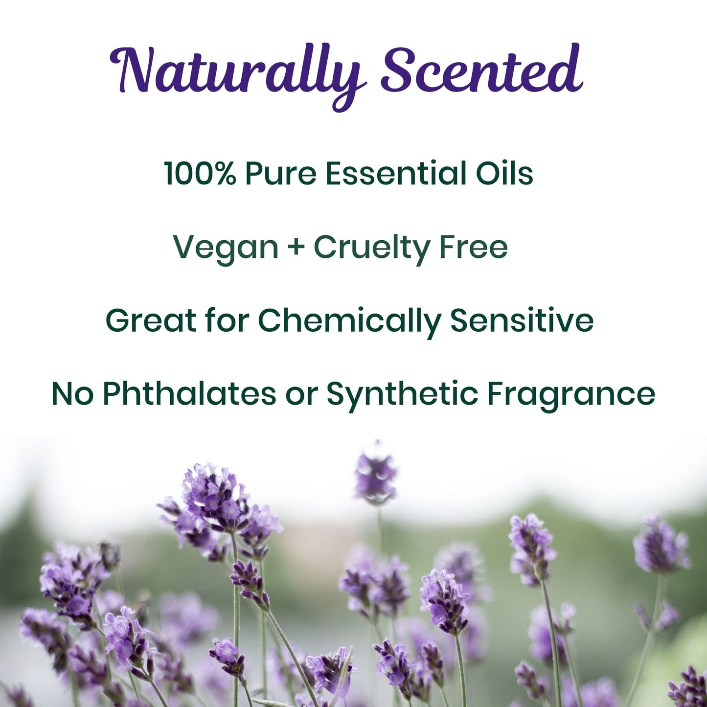 Lavender Air Freshener