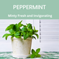 Peppermint All-Purpose Cleaner and Air Freshener