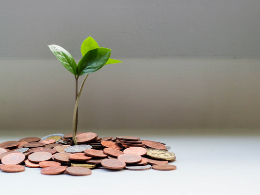 41 eco-friendly ways to save money