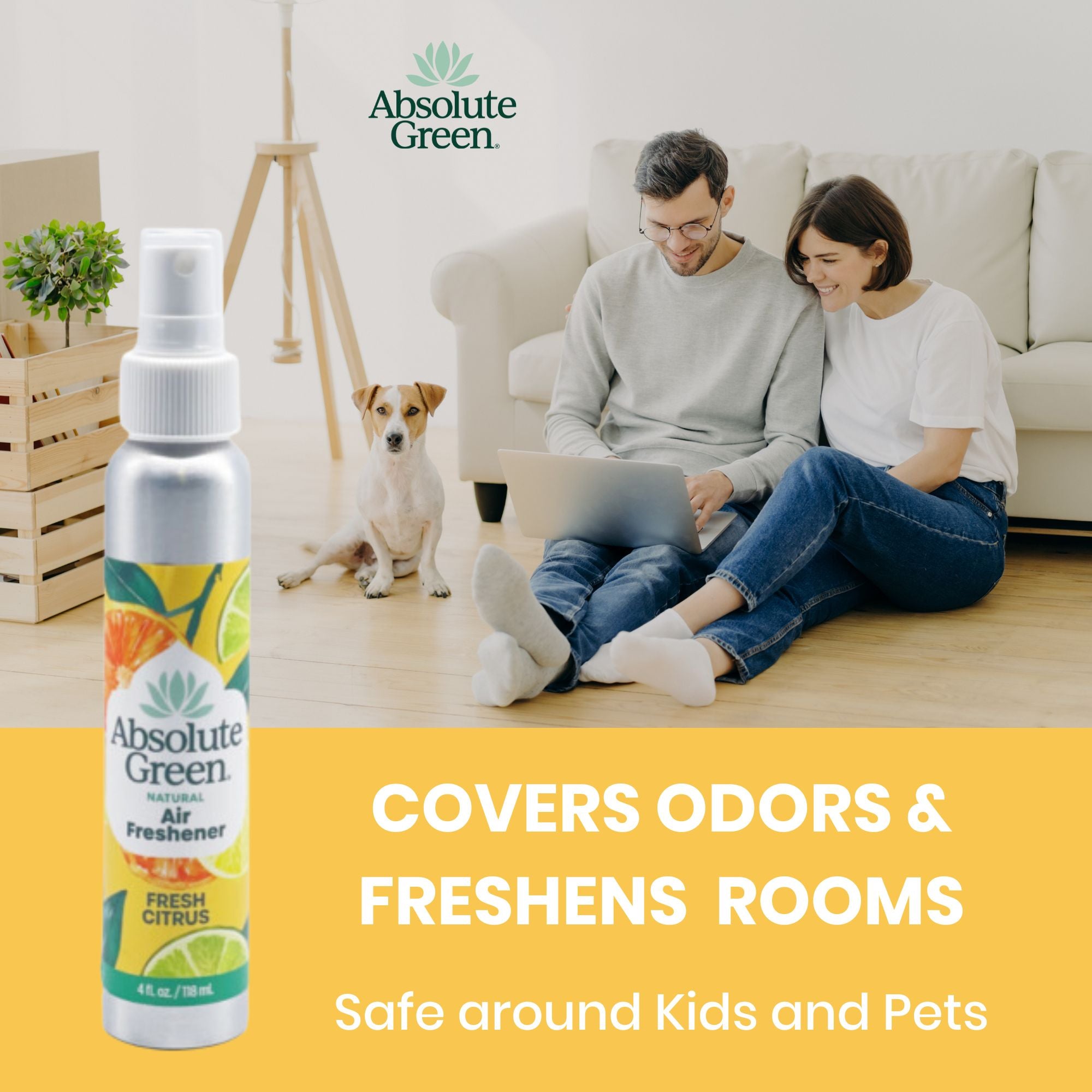 Citrus Bundle:  Lemon All-Purpose Cleaner + Fresh Citrus Air Freshener