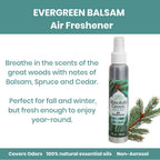 A bottle of Evergreen Balsam Air Freshener shown on a clean white background with teal promotional text and a pine branch graphic. The product bottle is silver with a white spray top and a green-and-white label reading Absolute Green.