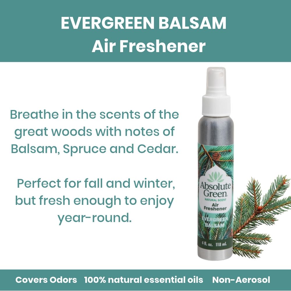 A bottle of Evergreen Balsam Air Freshener shown on a clean white background with teal promotional text and a pine branch graphic. The product bottle is silver with a white spray top and a green-and-white label reading Absolute Green.