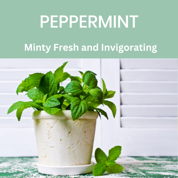 Absolute Green Natural Peppermint All-Purpose Cleaner is Minty Fresh and Invigorating.