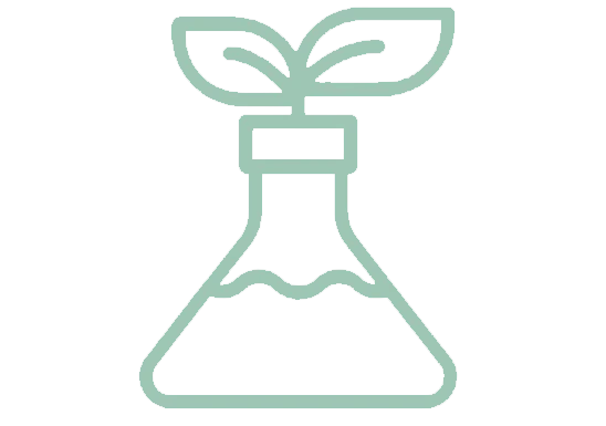 <p>Made with Non-Toxic, Natural Scents from pure and natural essential oils. Gentle on your senses and our planet.</p>