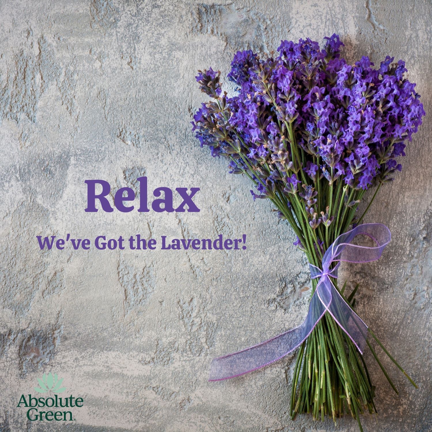 Lavender Spa All-Purpose Cleaner