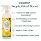 Absolute Green Fresh Lemon Cleaner is good for people, pets and the planet. No phthalates no toxins 