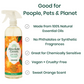 Absolute Green Orange All-Purpose  Cleaner is good for people, pets and the planet. Plant-Based, No phthalates no toxins 